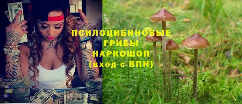 Псилоцибиновые грибы мухоморы Кашин